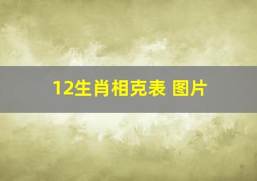 12生肖相克表 图片